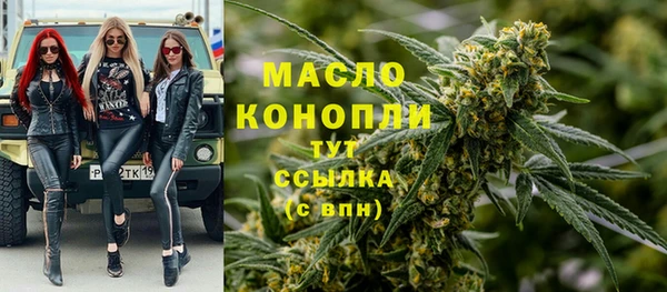 гидра Бородино