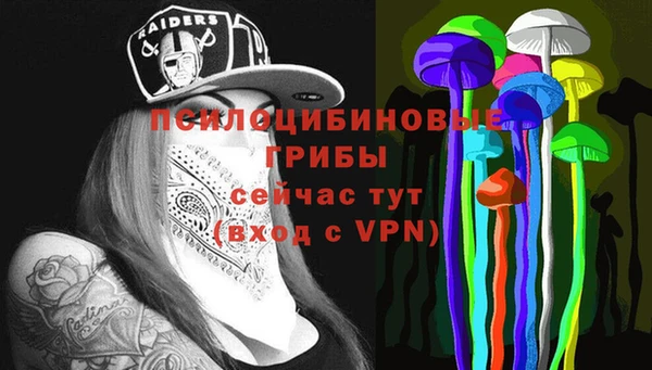 гидра Бородино