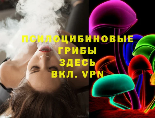 гидра Бородино