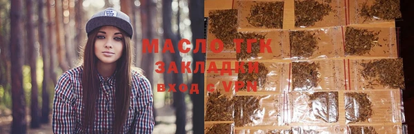 гидра Бородино