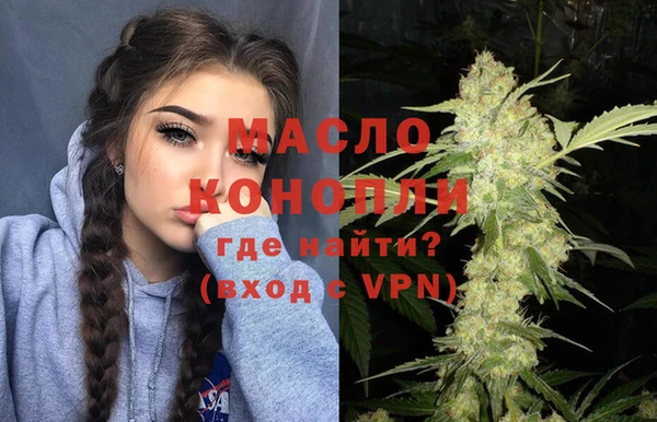 гидра Бородино